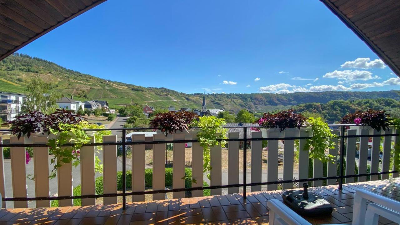 Ferienweingut Juergen Beth Apartment *