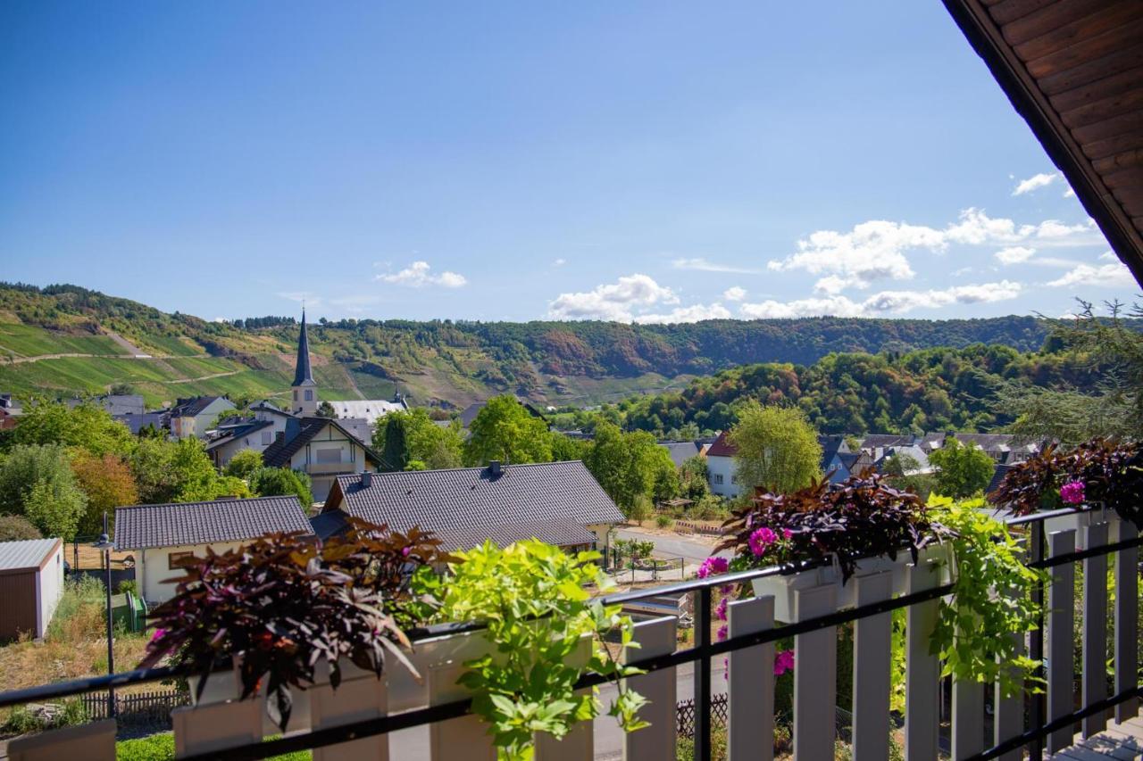 Ferienweingut Juergen Beth Apartment